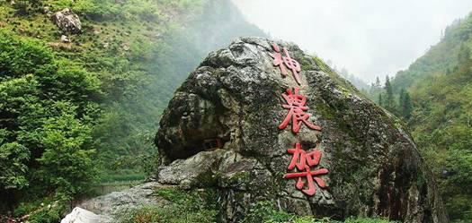 小猫钓鱼正版下载中文版